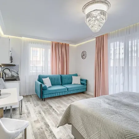 Silver Свиноуйсьце