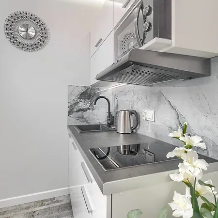 Silver Свиноуйсьце