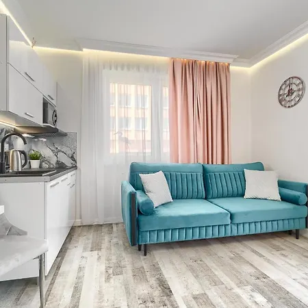 Silver * Свиноуйсьце