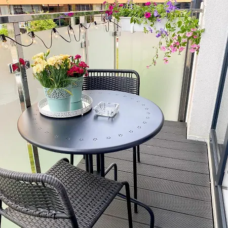 Silver Свиноуйсьце