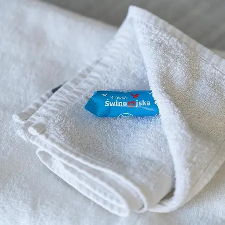 Silver Свиноуйсьце