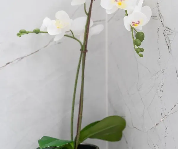 Silver Lägenhet Świnoujście